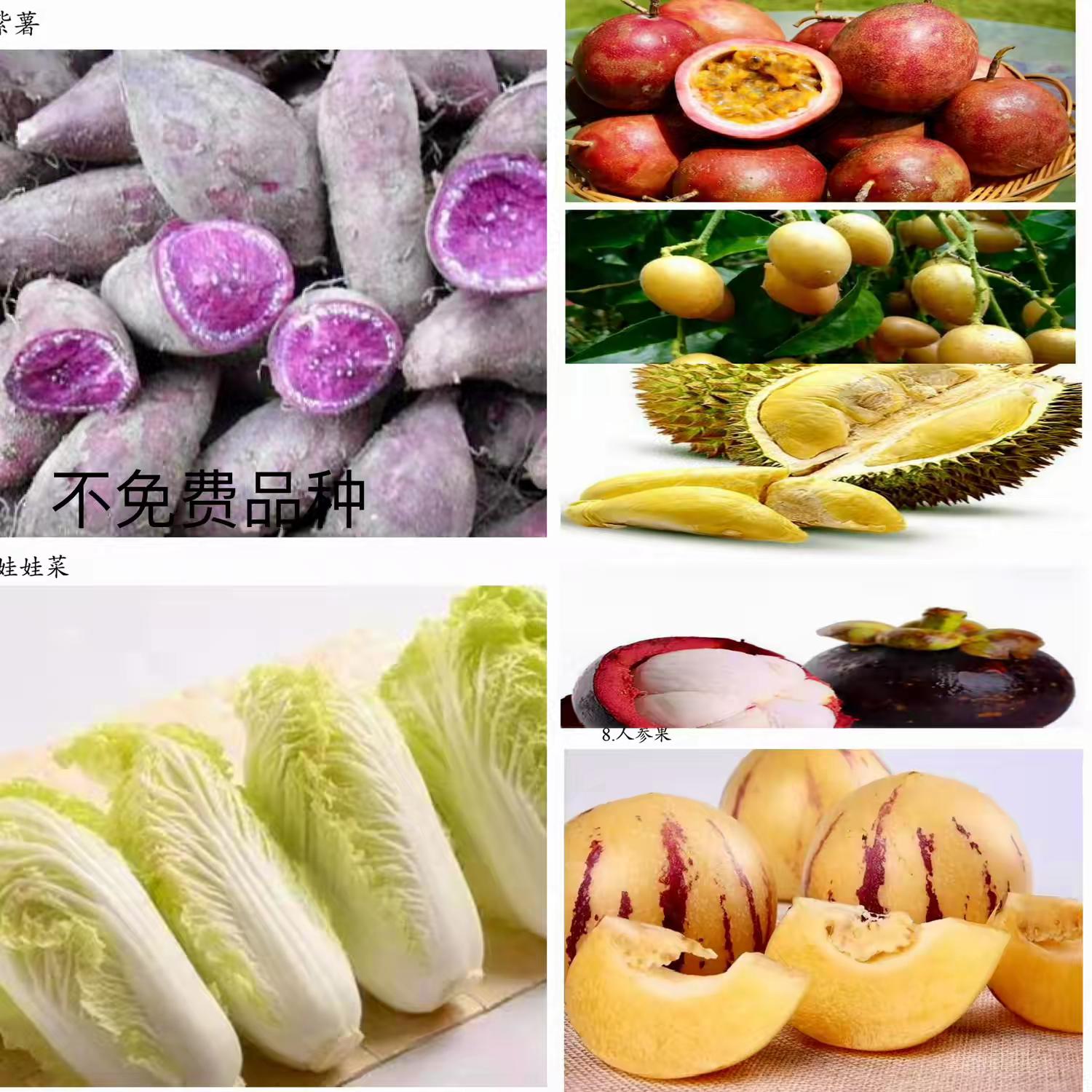 1720513295904600.jpg 微信圖片_20240709161333.jpg