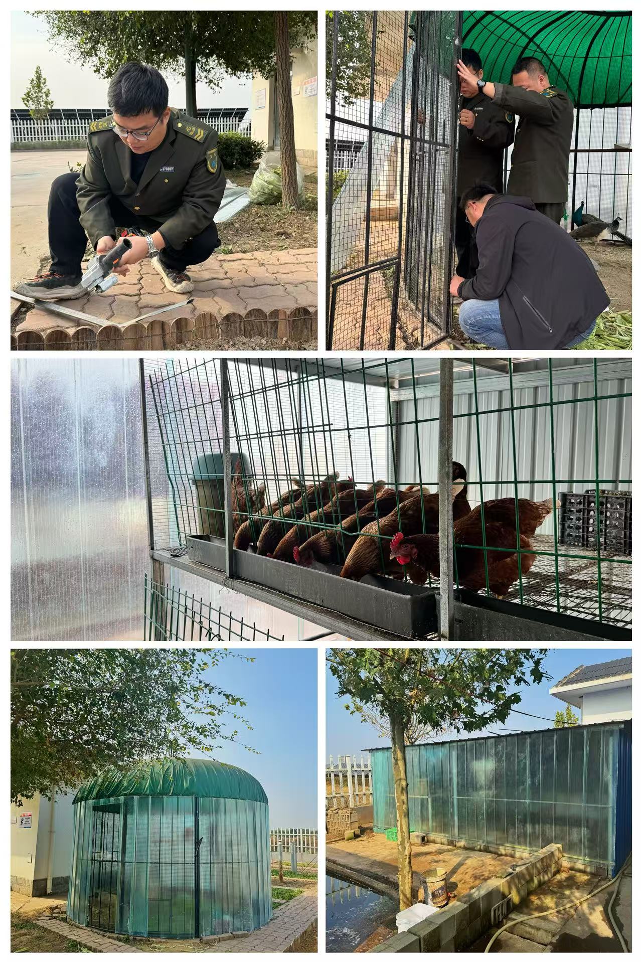 1761200956456185.jpg 20558d8f8a2066e2d88dc934dda7c08d.jpg